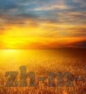 去吧皮卡丘九游版下载-去吧皮卡丘九游版下载指南与体验分享