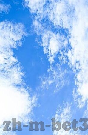 星空体育官方app下载-星空体育，带你领略体育魅力，解锁精彩赛事的官方选择